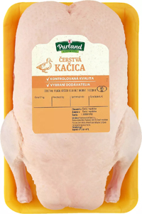 K-Purland Mladá kačica