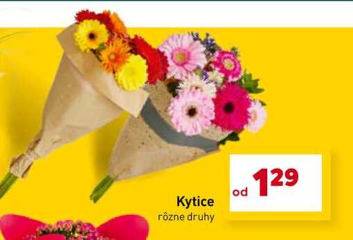 Kytice rôzne druhy 