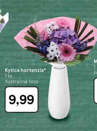 Kytica hortenzia 1 ks 