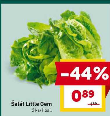 Šalát Little Gem 2 ks
