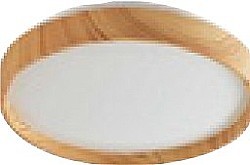 LED stropnica LEANA 2