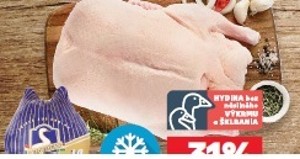 Goldenfood / Dunagut Kačica s drobkami