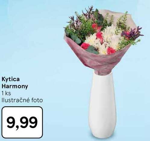Kytica Harmony