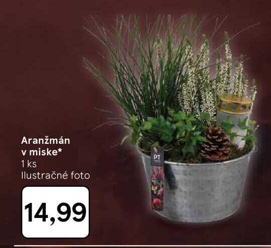 Aranžmán v miske 1 ks
