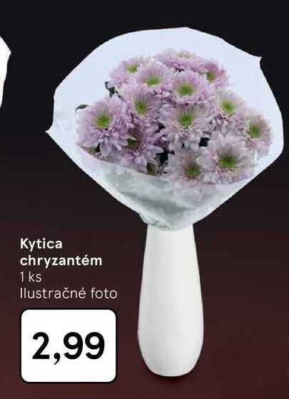 Kytica chryzantém 1 ks