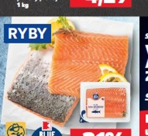 K-Blue Bay Losos Atlantický