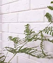 FASÁDNÍ OBKLAD PARMA1