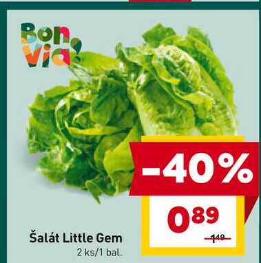 Šalát Little Gem 2 ks/1 bal. 