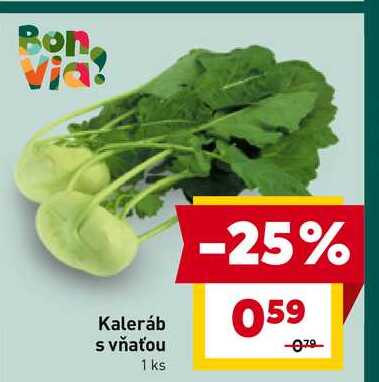 Kaleráb s vňaťou 1 ks 