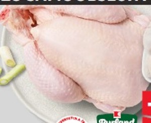 K-Purland Kurča bez drobov