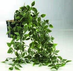 Umelá rastlina OLIVER