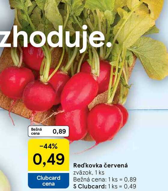 Reďkovka červená zväzok, 1 ks