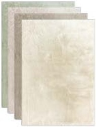 9: Koberec Lhasa s vysokým vlasom