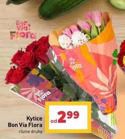 Kytice Bon Via Flora rôzne druhy 