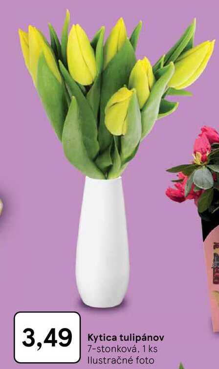 Kytica tulipánov 7-stonková, 1 ks