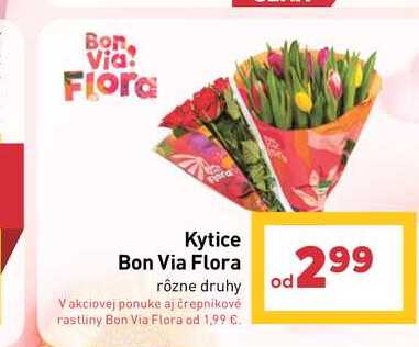 Kytice Bon Via Flora 