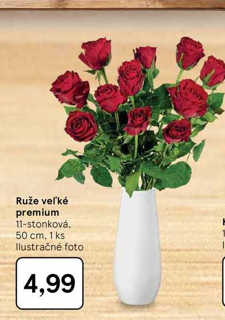 Ruže veľké premium 11-stonková, 50 cm, 1 ks