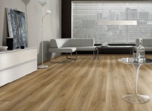 LAMINÁTOVÁ PODLAHA DUB BACKHUS2