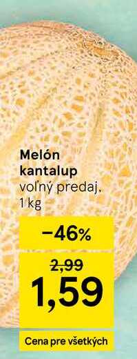 Melón kantalup voľný predaj 1 kg