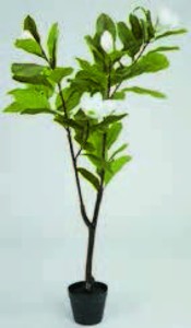 Umelá rastlina SPINDEL