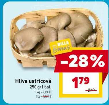Hliva ustricová 250 g/1 bal.
