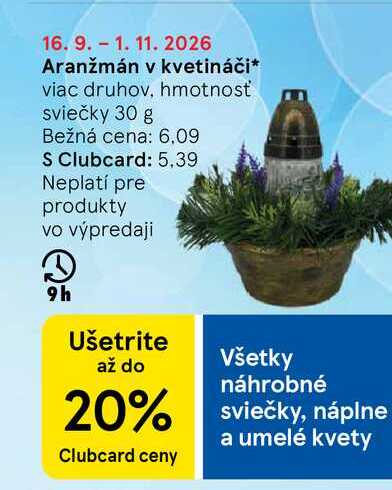 Aranžmán v kvetináči