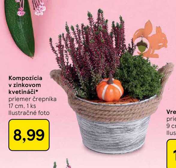 Kompozícia v zinkovom kvetináči priemer črepníka 17 cm, 1 ks 