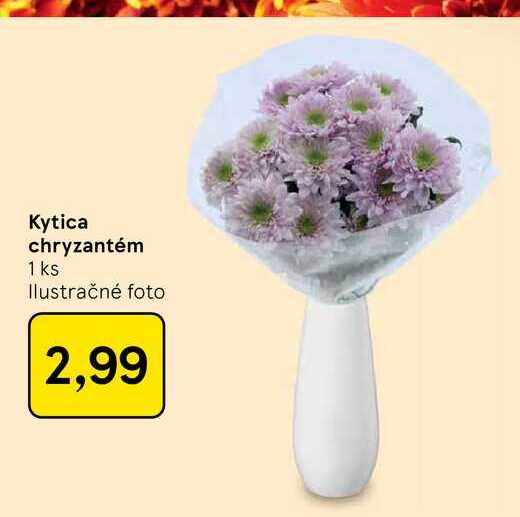 Kytica chryzantém 1 ks
