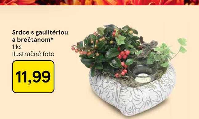 Srdce s gaulltériou a brečtanom 1 ks