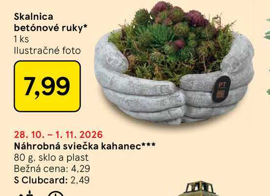 Skalnica betónové ruky 1 ks